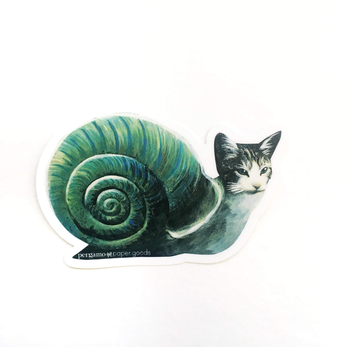 Weird Vinyl Stickers - Snail Cat Illustrated Sticker – Pergamo Paper Goods