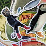 Random Vinyl Sticker Pack