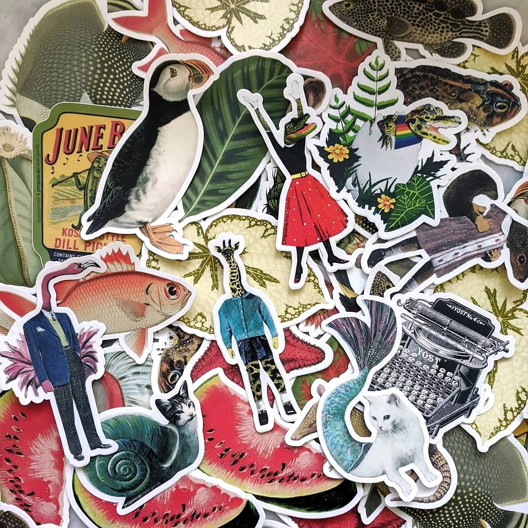 Colorful Vinyl Sticker Packs - Random Vintage and Animal Stickers – Pergamo  Paper Goods