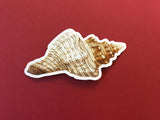 Vintage Vinyl Stickers for Ocean Lovers - Sea Shell Sticker www.pergamopapergoods.com