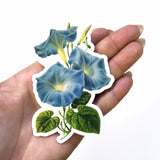 Morning Glory Stickers Vinyl, Flower Laptop Sticker Pack, Vintage Decal, Botanical Illustration Plant Mom Plants Green Thumb, Cottage Core Gifts by Pergamo Paper Goods www.pergamopapergoods.com.