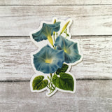Morning Glory Stickers Vinyl, Flower Laptop Sticker Pack, Vintage Decal, Botanical Illustration Plant Mom Plants Green Thumb, Cottage Core Gifts by Pergamo Paper Goods www.pergamopapergoods.com.