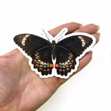 Black Butterfly Stickers, Vintage Sticker Pack, Durable Decals for Junk Journal, MacBook Decal for Laptop, Antique Illustrated Gifts by Pergamo Paper Goods www.pergamopapergoods.com