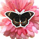 Black Butterfly Stickers, Vintage Sticker Pack, Durable Decals for Junk Journal, MacBook Decal for Laptop, Antique Illustrated Gifts by Pergamo Paper Goods www.pergamopapergoods.com