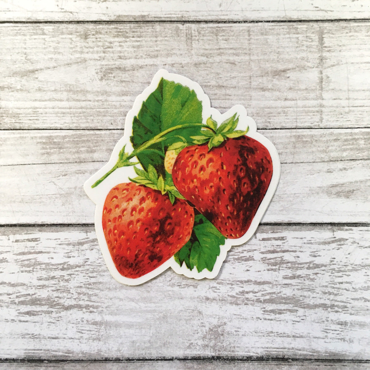 Ptyism 510 Stück/100 Blatt Scrapbooking Sticker,Scrapbook Zubehör|Scrapbook Stickers Set Sticker