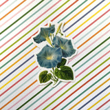 Morning Glory Stickers Vinyl, Flower Laptop Sticker Pack, Vintage Decal, Botanical Illustration Plant Mom Plants Green Thumb, Cottage Core Gifts by Pergamo Paper Goods www.pergamopapergoods.com.