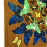 Butterfly Mandala Art, Vintage Inspired Mixed Media Art, Insect Collage Painting, Buddhist Original Acrylic Artwork, Retro Kitsch Gift