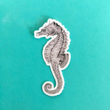 Seahorse Sticker, Ocean Vintage Vinyl Stickers, Macbook Sticker Pack, Florida Laptop Decal, Outdoor Decals for Water Bottle Bullet Journal
