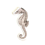 Seahorse Sticker, Ocean Vintage Vinyl Stickers, Macbook Sticker Pack, Florida Laptop Decal, Outdoor Decals for Water Bottle Bullet Journal