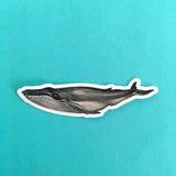 Vintage Whale Sticker, Ocean Vinyl Stickers, Macbook Sticker Pack, New England Laptop Decal, Outdoor Decals for Water Bottle Bullet Journal