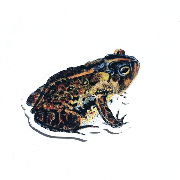 Vintage Vinyl Stickers - Waterproof Toad Stickers for Frog Lovers – Pergamo  Paper Goods