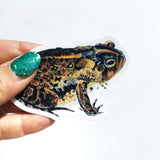 Vintage Vinyl Stickers - Waterproof Toad Stickers for Frog Lovers - Pergamo Paper Goods - Vintage Inspired Collage Art for Animal Lovers
