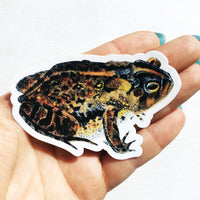 Vintage Vinyl Stickers - Waterproof Toad Stickers for Frog Lovers - Pergamo Paper Goods - Vintage Inspired Collage Art for Animal Lovers