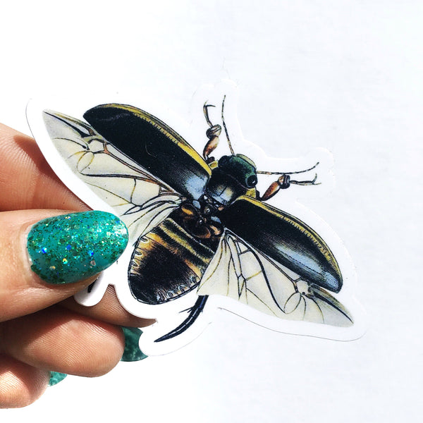 Scaracat Sticker Vintage Vinyl Stickers - Waterproof Beetle Stickers - Scarab Sticker ...