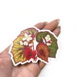 Begonia Vinyl Decal - Plant Stickers