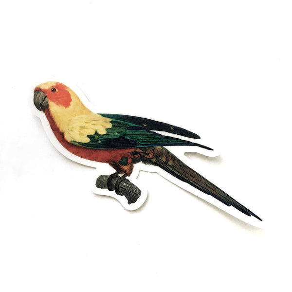 Vintage Florida Vinyl Stickers - Parakeet Bird Stickers - Parrot - Pergamo Paper Goods - Vintage Inspired Art for Animal Lovers