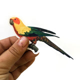 Vintage Florida Vinyl Stickers - Parakeet Bird Stickers - Parrot - Pergamo Paper Goods - Vintage Inspired Art for Animal Lovers