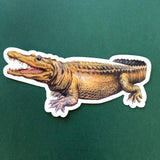 Vintage Florida Vinyl Stickers - Waterproof Alligator Stickers - Pergamo Paper Goods - Vintage Inspired Collage Art for Animal Lovers