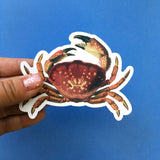 Vintage Florida Vinyl Stickers - Waterproof Crab Beach Stickers - Pergamo Paper Goods - Vintage Inspired Collage Art for Animal Lovers