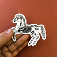 Vintage Skeleton Horse Vinyl Stickers - Goth Gifts for Animal Lovers - Pergamo Paper Goods - Vintage Inspired Collage Art for Animal Lovers