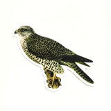 Vintage Animal Vinyl Stickers - Waterproof Bird - Falcon Sticker - Pergamo Paper Goods - Vintage Inspired Collage Art for Animal Lovers