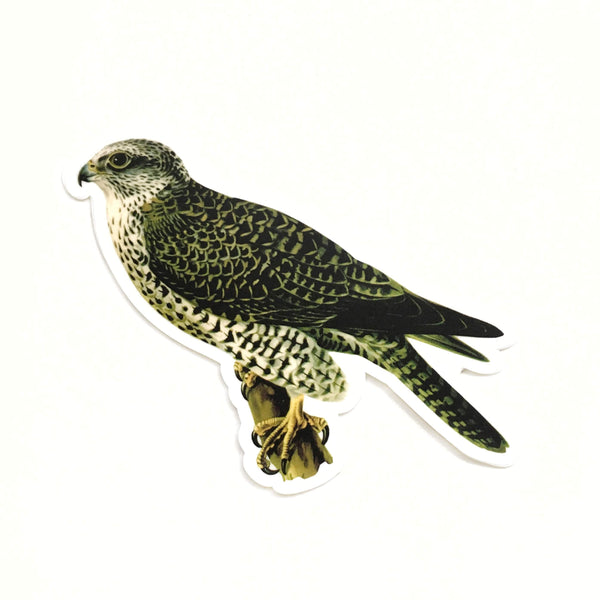 Vintage Animal Vinyl Stickers - Waterproof Bird - Falcon Sticker - Pergamo Paper Goods - Vintage Inspired Collage Art for Animal Lovers