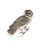 Vintage Animal Vinyl Stickers - Waterproof Owl Sticker for Bird Lovers - Pergamo Paper Goods - Vintage Inspired Collage Art for Animal Lovers