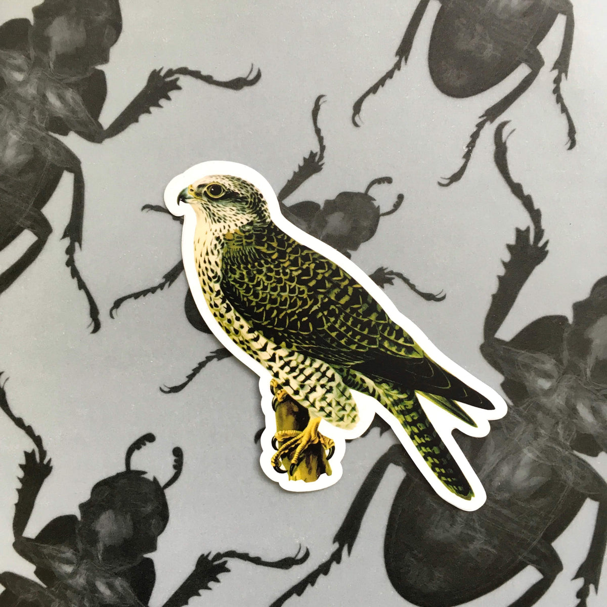 Vintage Animal Vinyl Stickers - Waterproof Bird - Falcon Sticker ...
