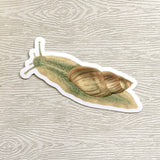 Vintage Nature Vinyl Stickers - Waterproof Snail Sticker - Bug Lovers - Pergamo Paper Goods