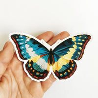 Hand holding butterfly laptop sticker