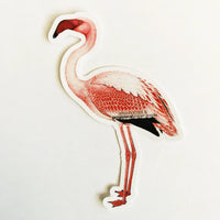Vintage florida sticker, vintage flamingo sticker, retro florida sticker, florida gift
