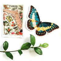 Antique Florida Map Sticker with Butterfly Sticker