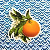 Orange Blossom Vinyl Sticker - Vintage Image