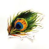 Peacock Feather Vinyl  Sticker