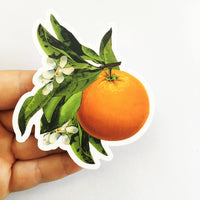 Orange Blossom Vinyl Sticker - Vintage Image