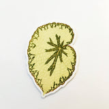 Begonia Leaf Vinyl Sticker on White Background