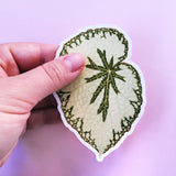 Hand holding begonia leaf laptop sticker