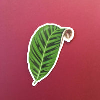 Leaf laptop sticker. Antique sticker. Vinyl laptop sticker. Stickers for plant lovers.