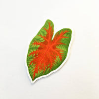 Tropical Leaf Sticker - Caladium Vinyl Sticker www.pergamopapergoods.com