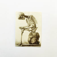 Antique Skeleton Sticker, Vintage Halloween Vinyl Decals, Antique Anatomy Creepy Stickers, Hydroflask Vinyl Decal, Waterbottle Yeti Spooky