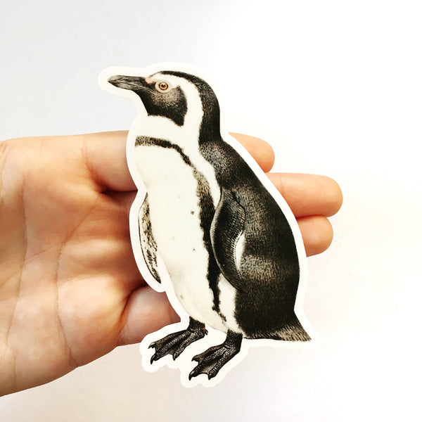 Penguin vinyl sticker, illustrated penguin laptop sticker. Animal laptop stickers