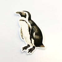 Realistic penguin sticker, Penguin vinyl Sticker, Animal laptop stickers