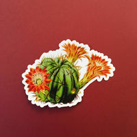 Vinyl succulent sticker. Flower sticker. Vinyl cactus sticker.