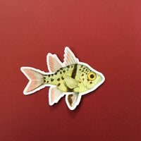 Vintage Image Vinyl Stickers for Laptops + More - Spotted Fish Sticker www.pergamopapergoods.com
