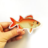 Red Fish Vinyl Sticker