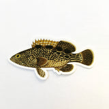 Stickers for fishers, Grouper sticker, Fish sticker, Fish laptop sticker, Fish Vinyl Sticker