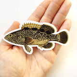 Realistic fish sticker, Vintage vinyl stickers, Vintage laptop stickers, Grouper Sticker, Fisherman sticker