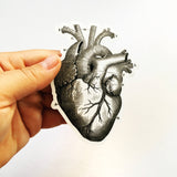 Vinyl laptop sticker, anatomical heart sticker, black and white heart sticker, Grays Anatomy sticker, Illustrated heart sticker