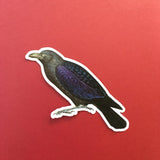 Black Crow Vinyl Sticker