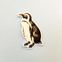 Antique penguin, antique animal sticker, Cute laptop stickers